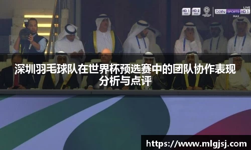 深圳羽毛球队在世界杯预选赛中的团队协作表现分析与点评
