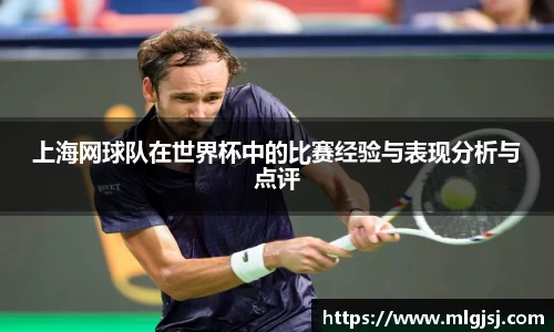 上海网球队在世界杯中的比赛经验与表现分析与点评